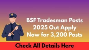 BSF Tradesman Posts 2025 Out Apply Now for 3,200 Posts
